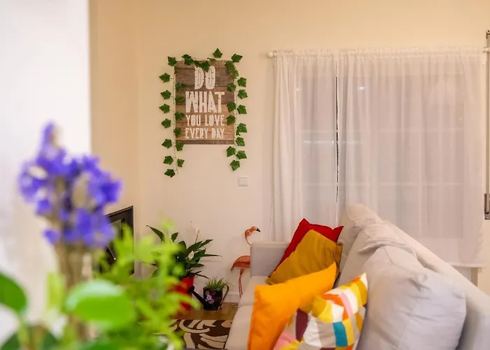 Paz & Flat - Peace & * Nazaré