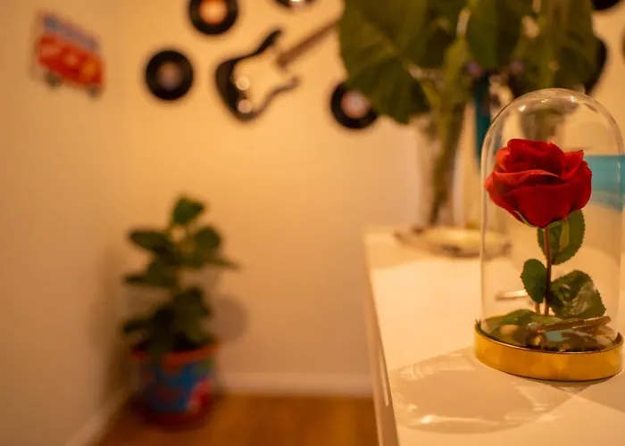 Paz & Flat - Peace &