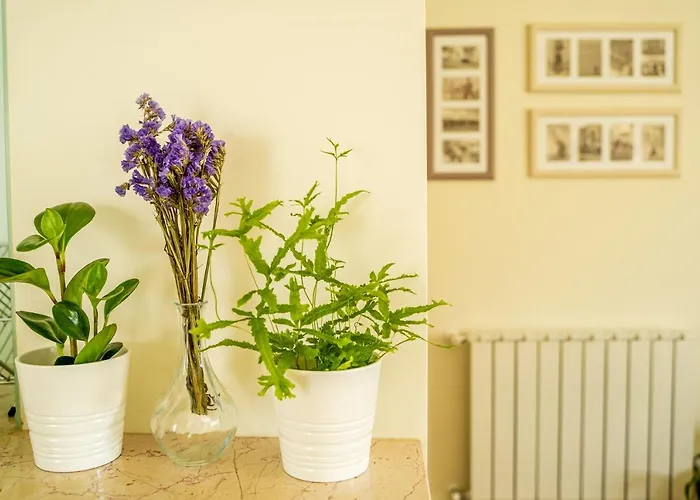 Lejlighed Paz & Flat - Peace & Nazaré