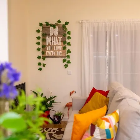 Paz & Flat - Peace & * Nazaré