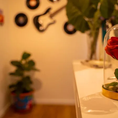 Paz & Flat - Peace &