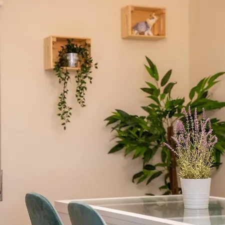 Lejlighed Paz & Flat - Peace &