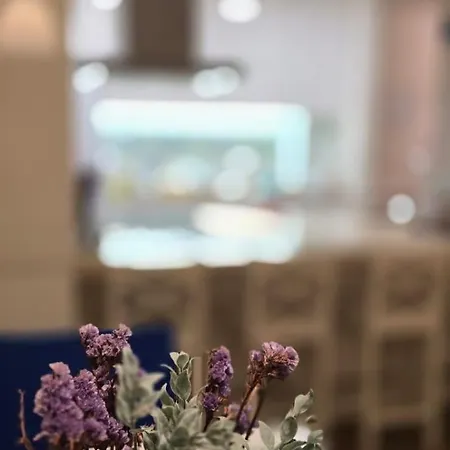 Paz & Flat - Peace & Lejlighed Nazaré