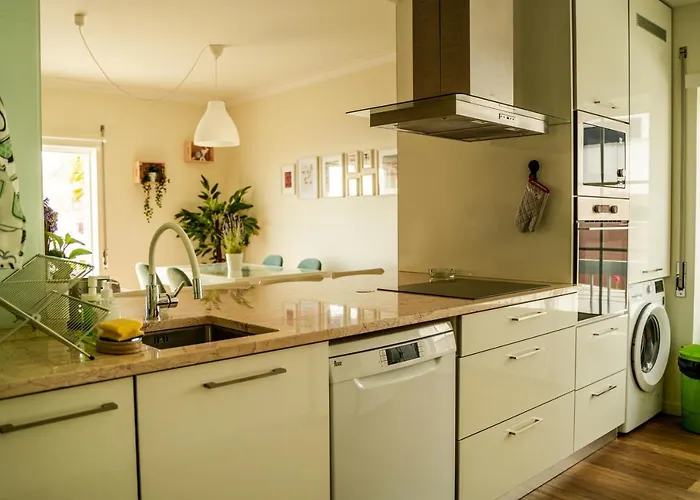 Paz & Flat - Peace & *