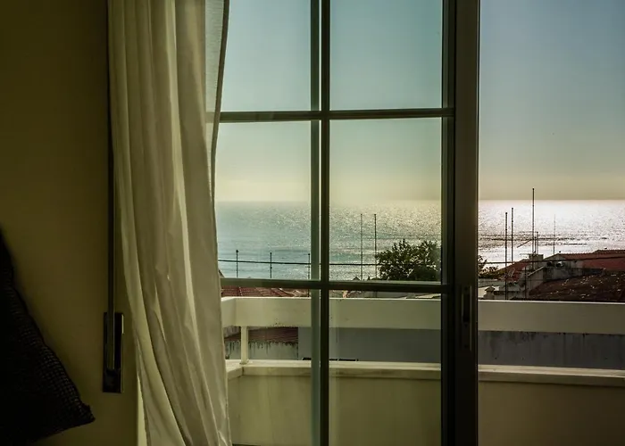 Paz & Flat - Peace & 나자레