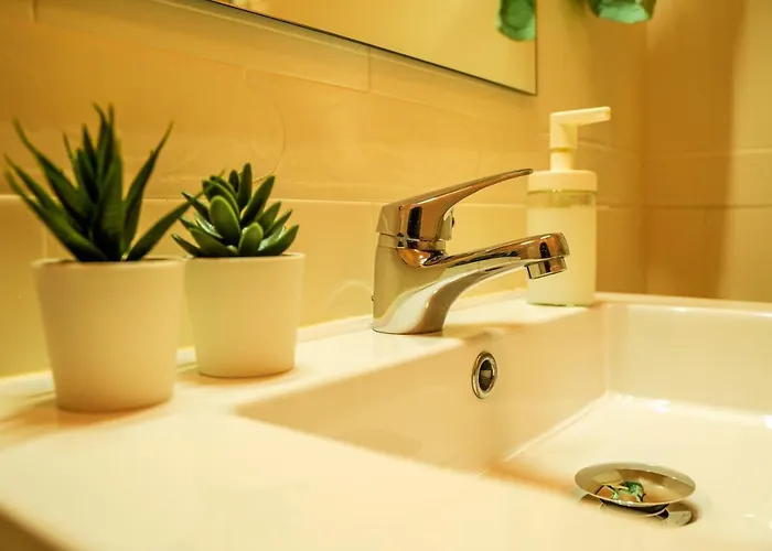 Paz & Flat - Peace & * 나자레