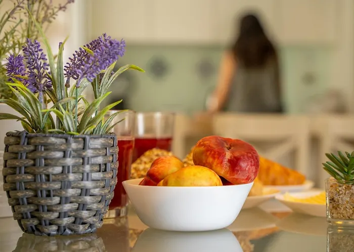 Paz & Flat - Peace & 아파트 나자레