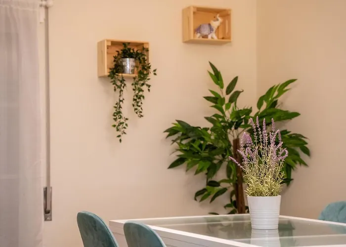 아파트 Paz & Flat - Peace &