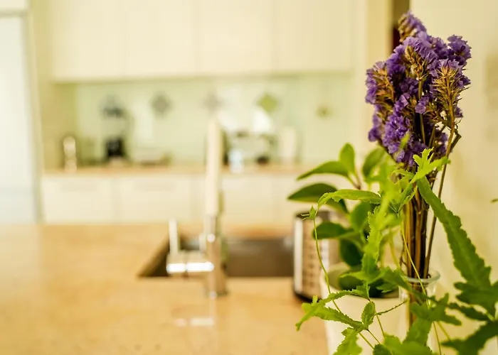 아파트 Paz & Flat - Peace &