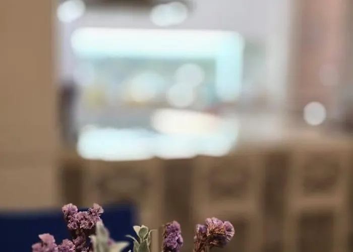 Paz & Flat - Peace & 아파트 나자레