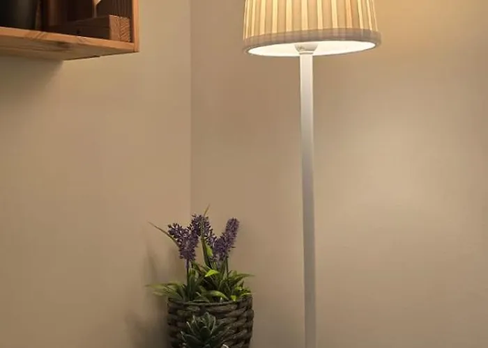 Paz & Flat - Peace & * 나자레